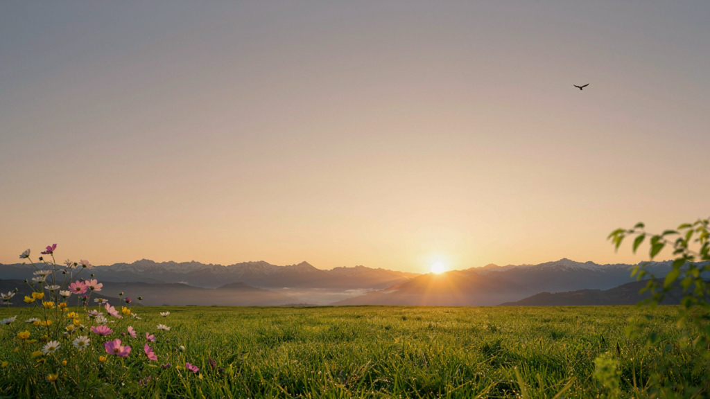 100+ Best Wishes for a New Beginning to Inspire Hope, Success & Happiness